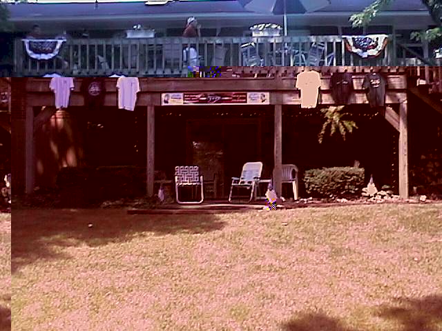 yard1.jpg (69781 bytes)